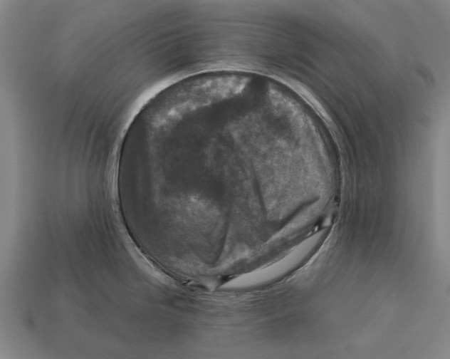 X0000113071246200909250923