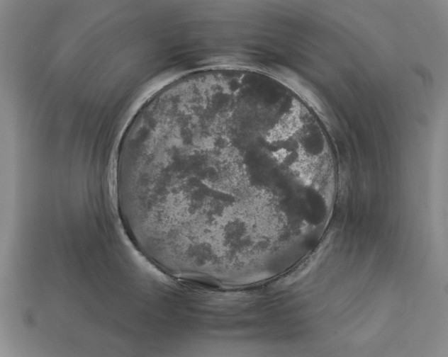 X0000113071247200909250923
