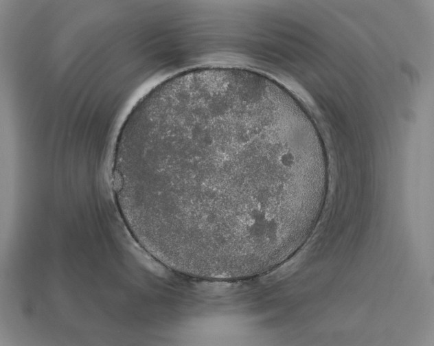 X0000113071248200909250923