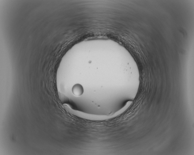 X0000113071249200909250922