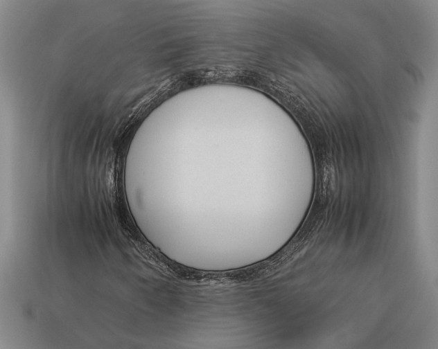 X0000113071250200909250922