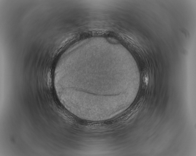 X0000113071252200909250922