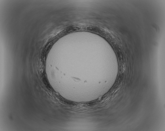 X0000113071253200909250922