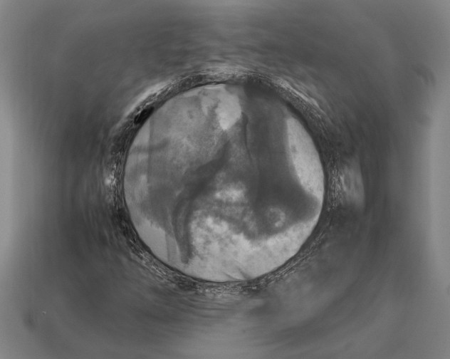 X0000113071254200909250922