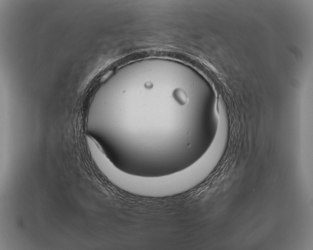 X0000113071255200909250922