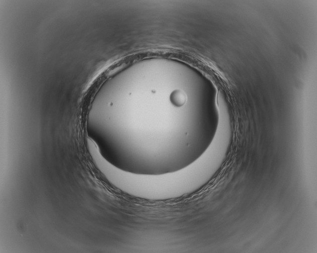 X0000113071256200909250922