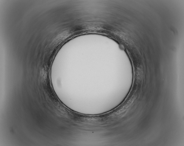 X0000113071257200909250922