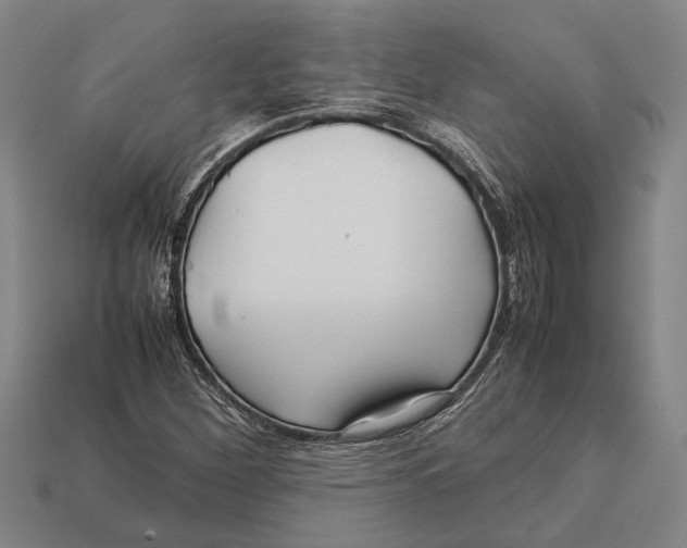 X0000113071260200909250922