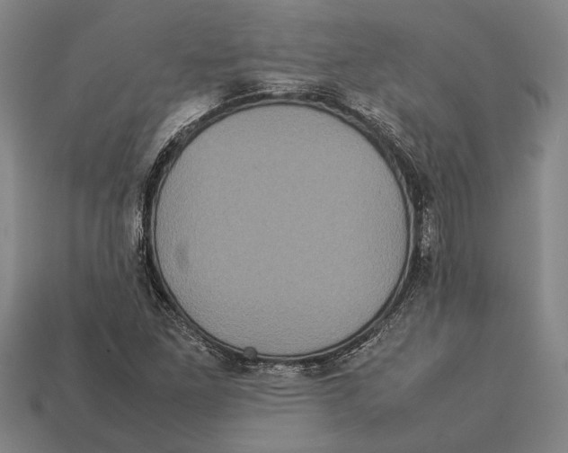 X0000113071261200909250922