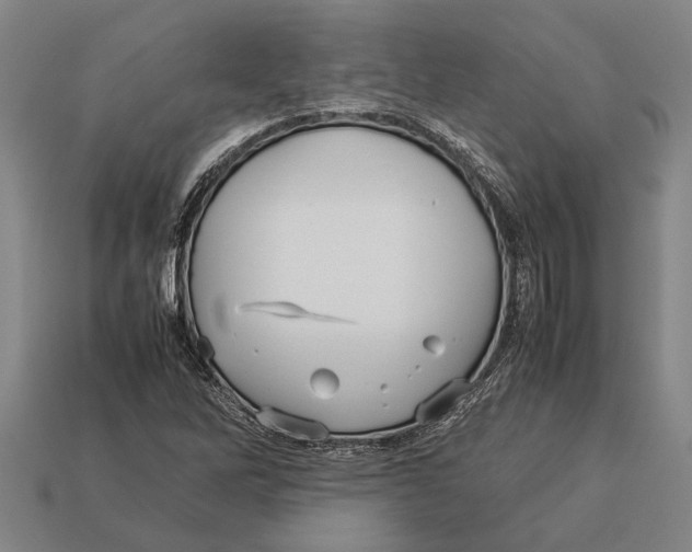 X0000113071262200909250922