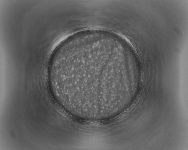 X0000113071263200909250922