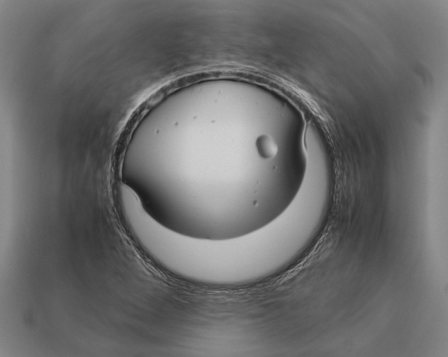 X0000113071264200909250922