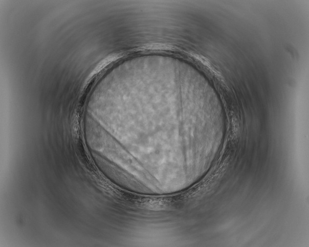 X0000113071266200909250922