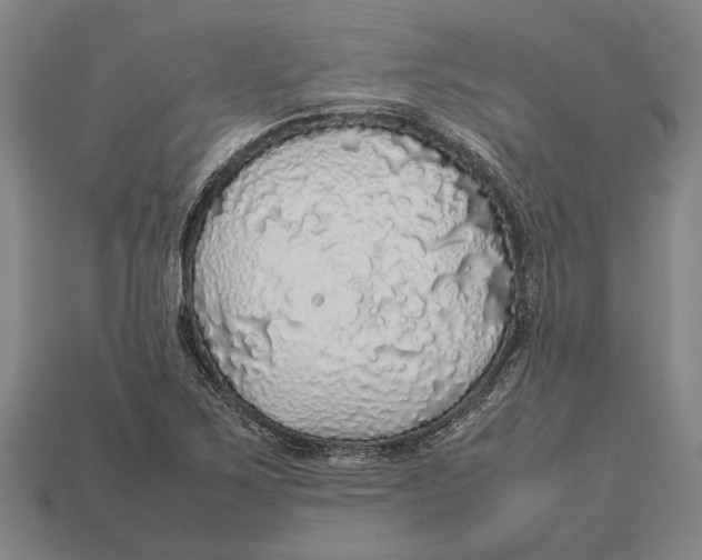 X0000113071267200909250922