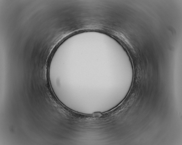 X0000113071268200909250922