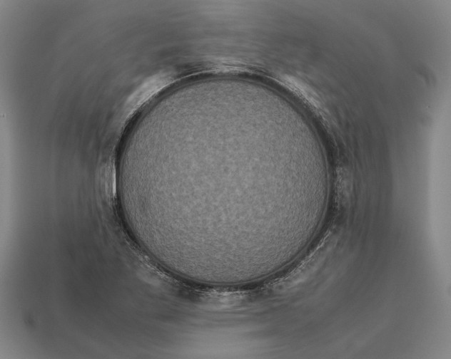 X0000113071269200909250922