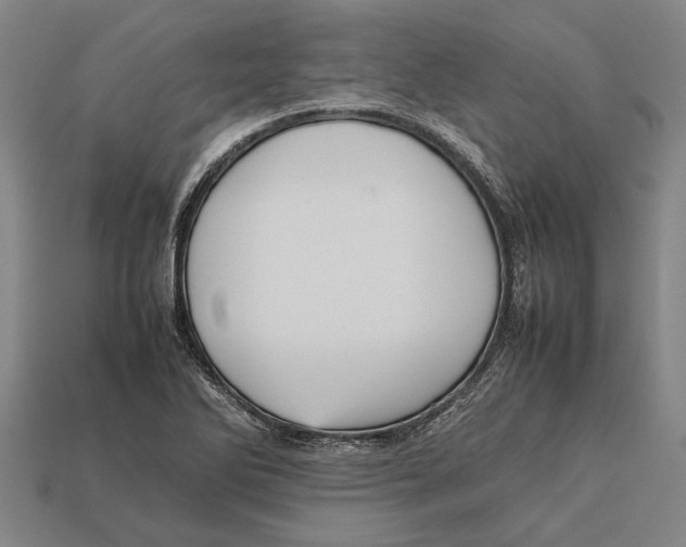 X0000113071270200909250922