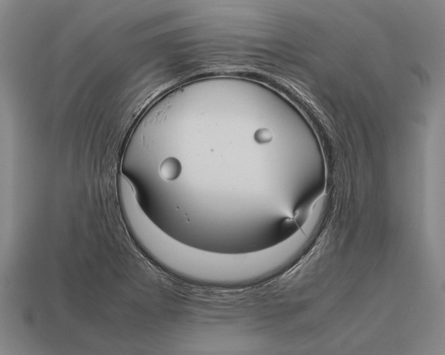 X0000113071273200909250922