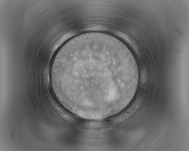 X0000113071274200909250922