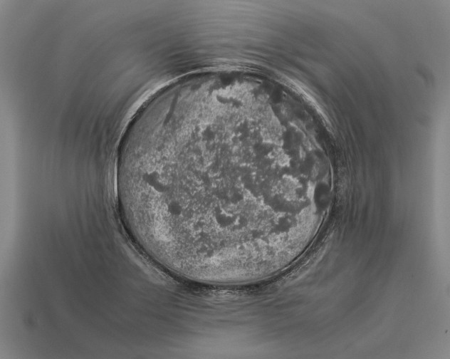 X0000113071275200909250922