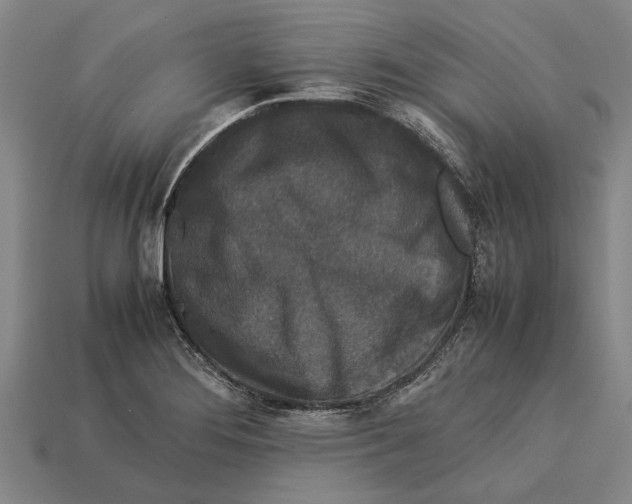 X0000113071276200909250922