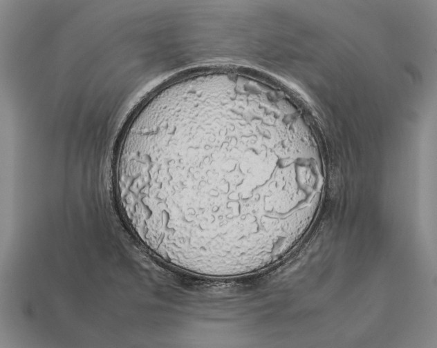 X0000113071279200909250922