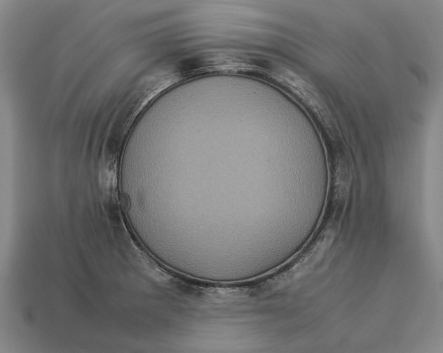X0000113071281200909250922