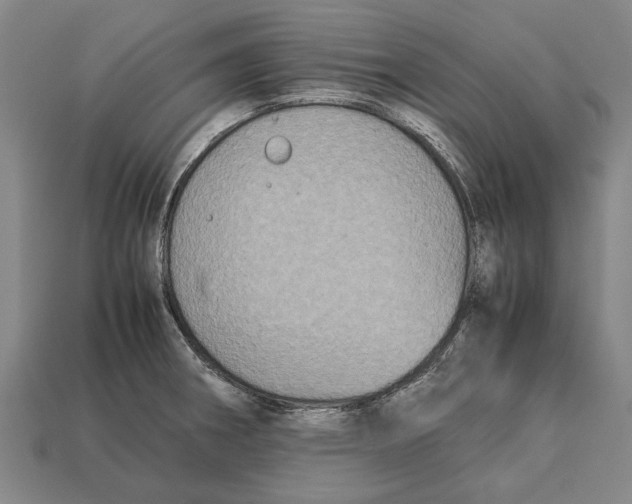 X0000113071282200909250922