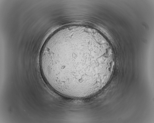 X0000113071283200909250922