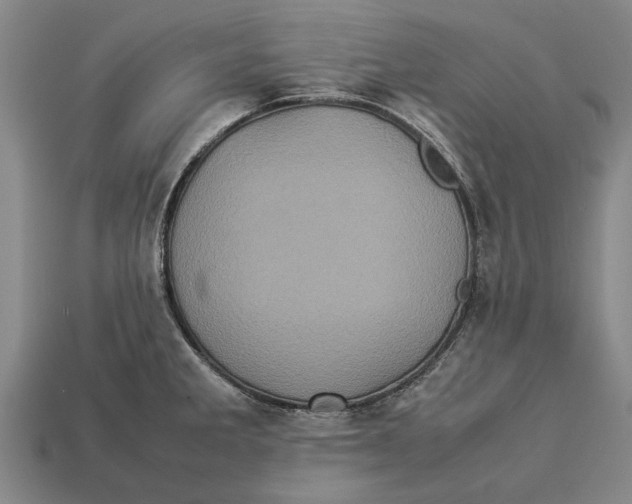 X0000113071285200909250922