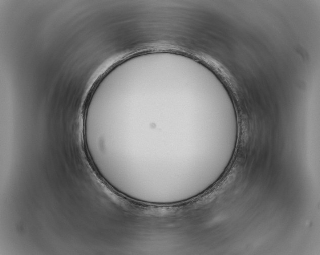 X0000113071286200909250922