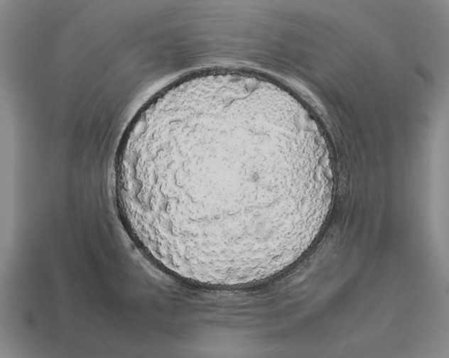 X0000113071287200909250921