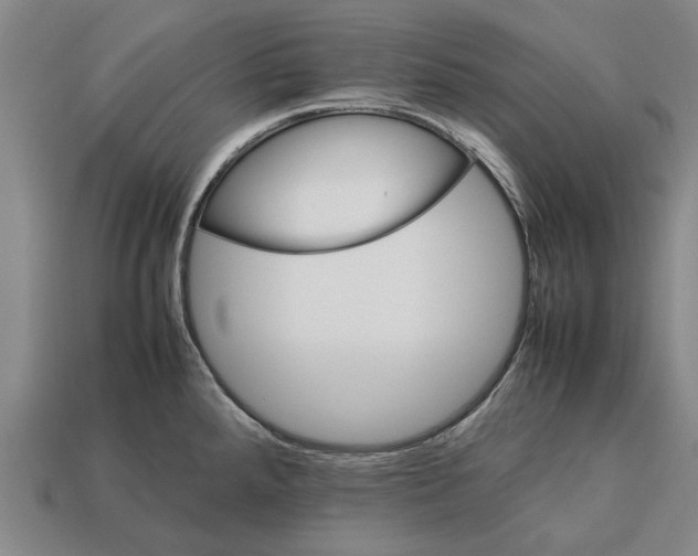 X0000113071288200909250921