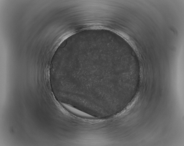 X0000113071289200909250921