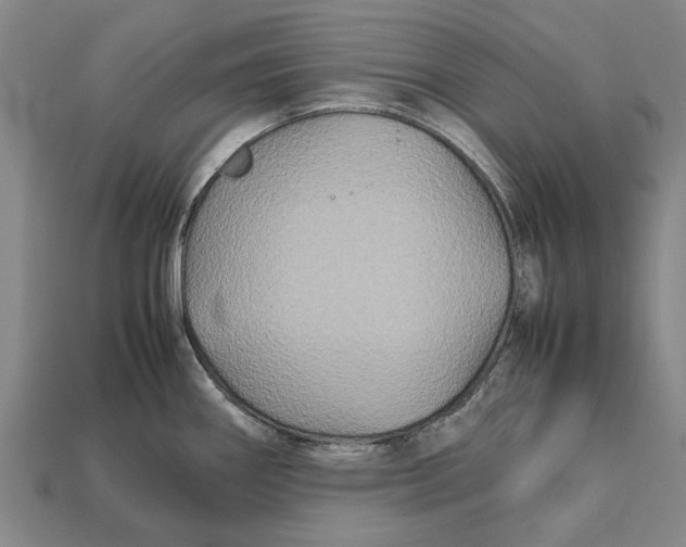 X0000113071290200909250921