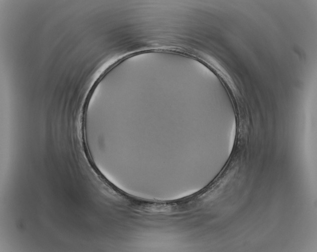 X0000113071291200909250921