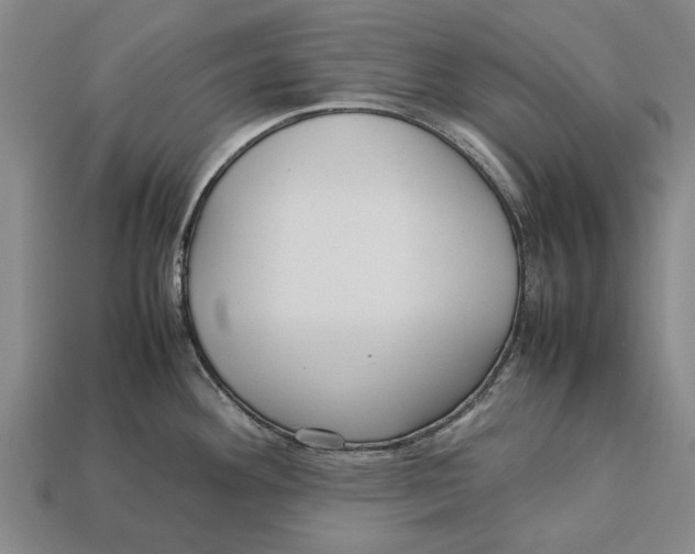 X0000113071292200909250921