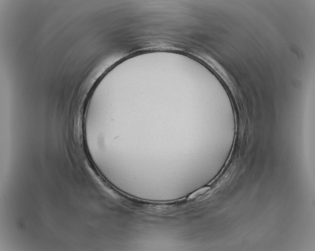 X0000113071293200909250921