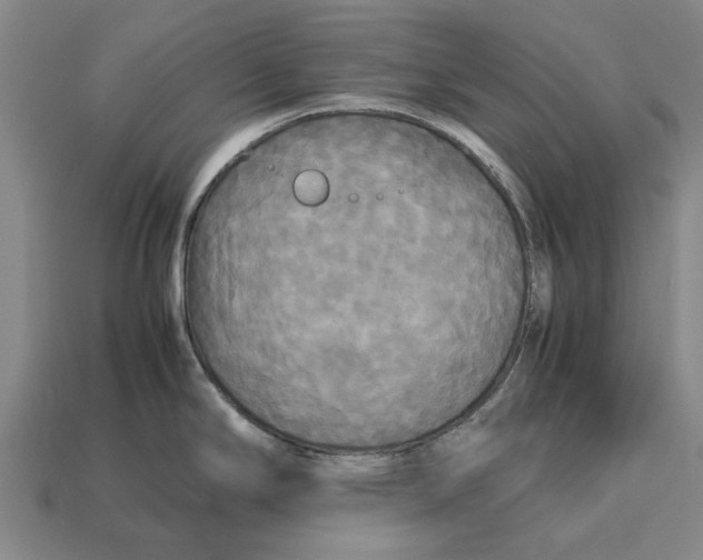 X0000113071294200909250921