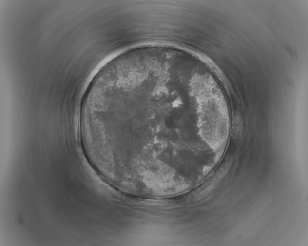 X0000113071295200909250921