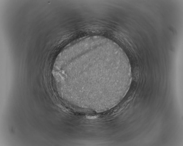 X0000113071297200909250921