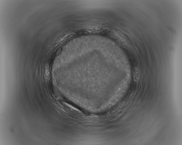 X0000113071298200909250921