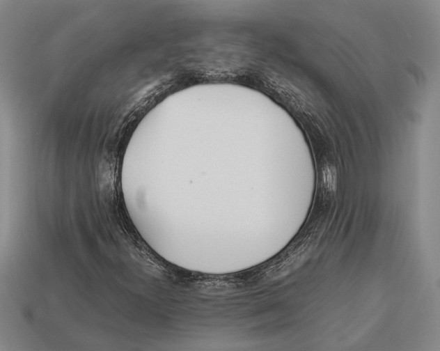 X0000113071300200909250921