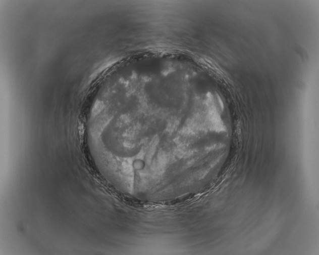 X0000113071302200909250921