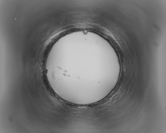 X0000113071304200909250921