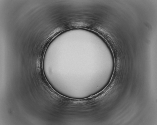 X0000113071305200909250921