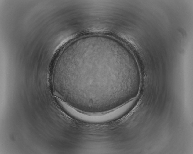 X0000113071306200909250921