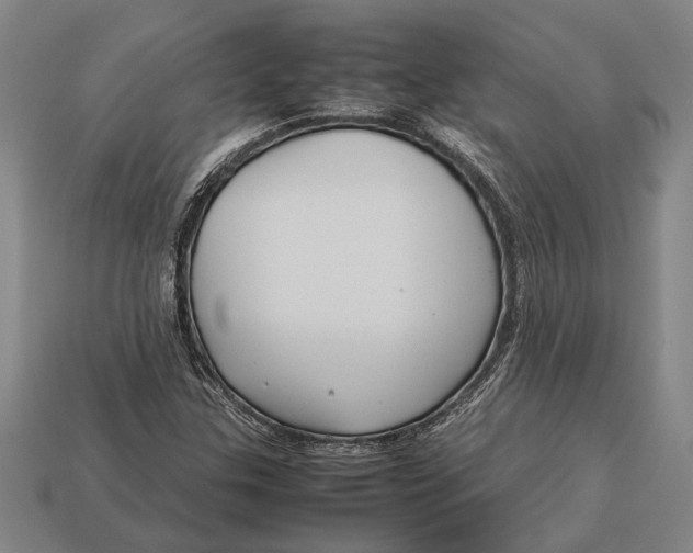 X0000113071307200909250921