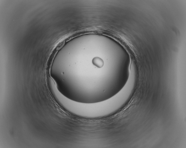 X0000113071308200909250921