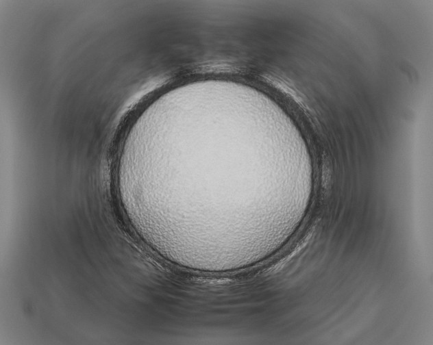 X0000113071309200909250921